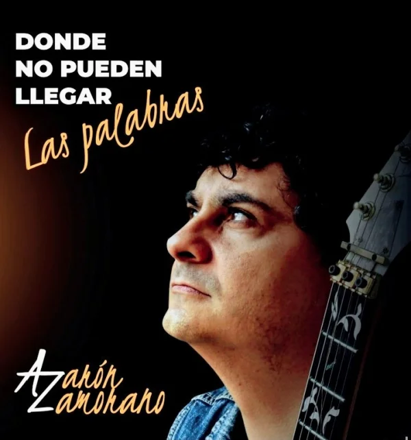 Los conciertos se realizan con el formato de la banda completa o como solista (según presupuesto).