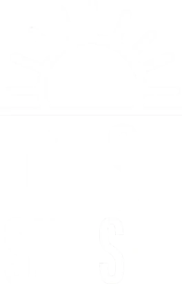 Daisy Sunset