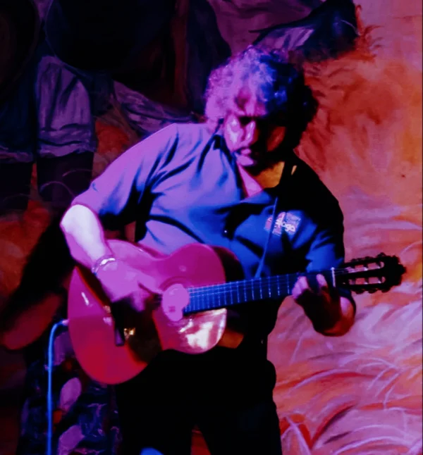 Imagen de Duo Antonio y diego Romero