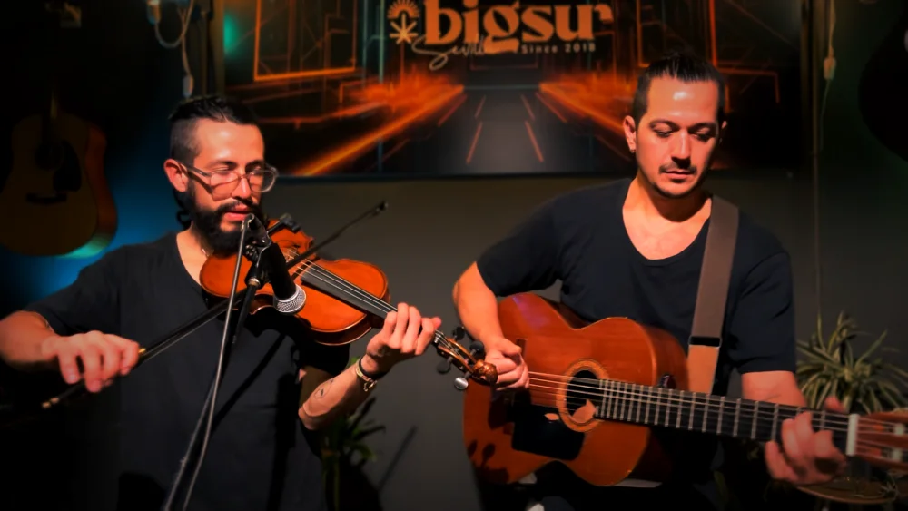 Imagen de Éle Acústico