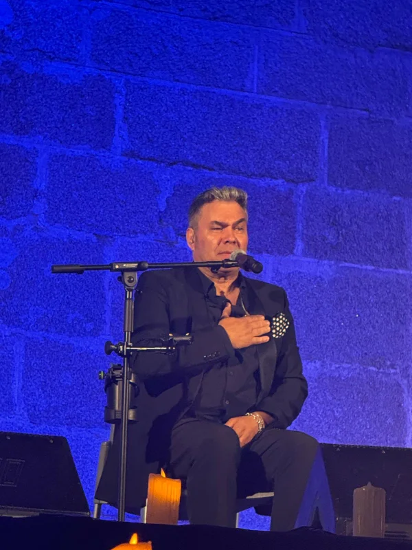 Imagen de Flamenco y rumbas