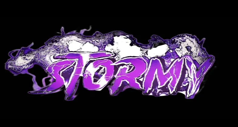 Logo de STORMY ROCK