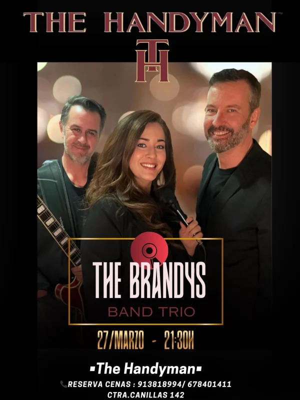 Imagen de The Brandys Band