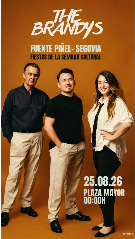 Imagen de The Brandys Band