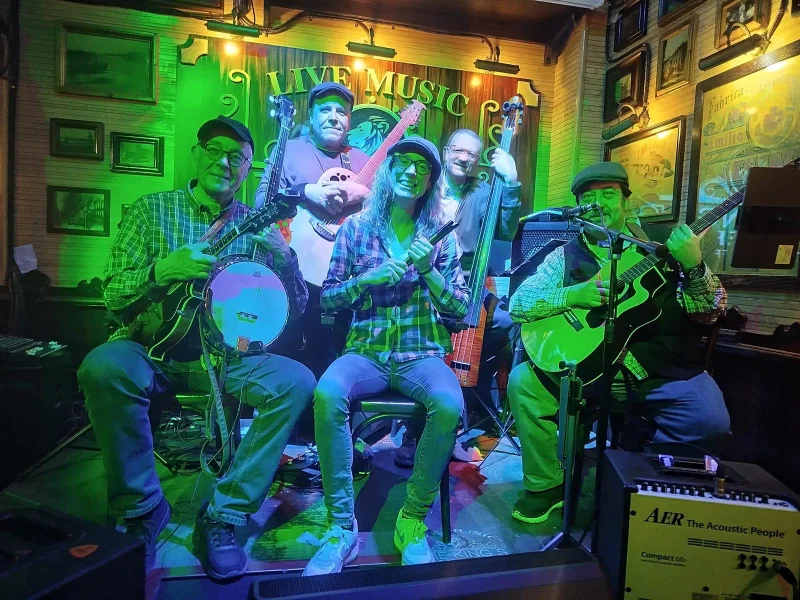 THE DIORAMERS - Irish & Bluegrass Music