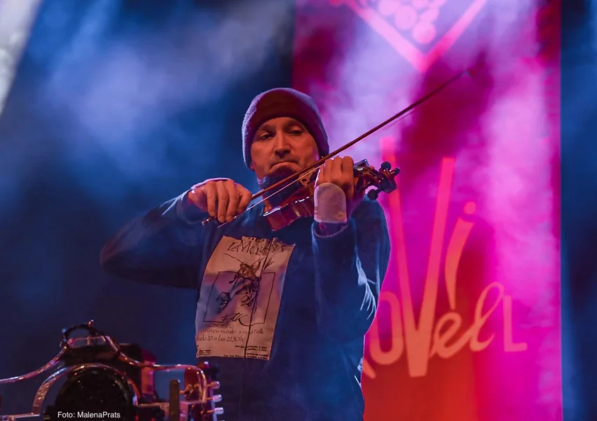 Imagen de The fiddler on the tree