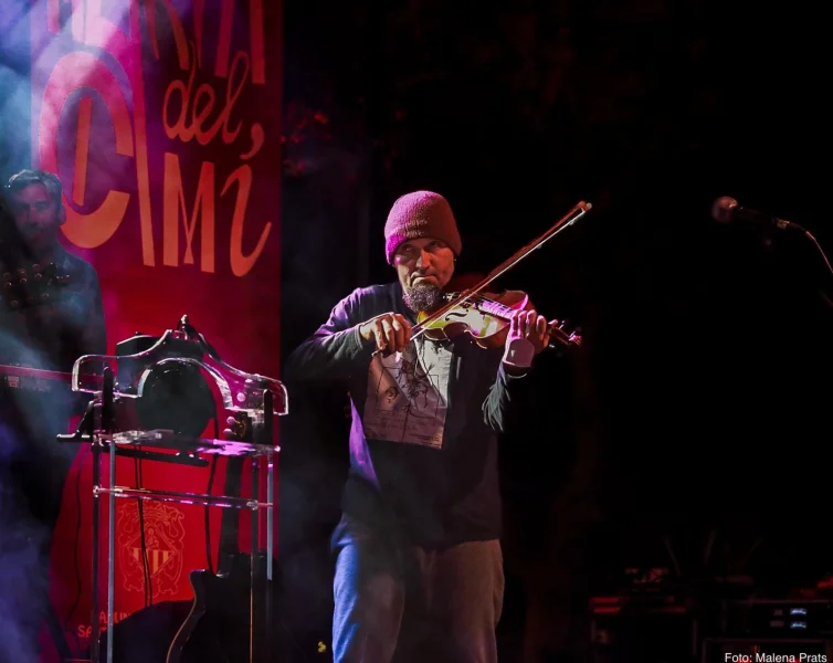 Imagen de The fiddler on the tree