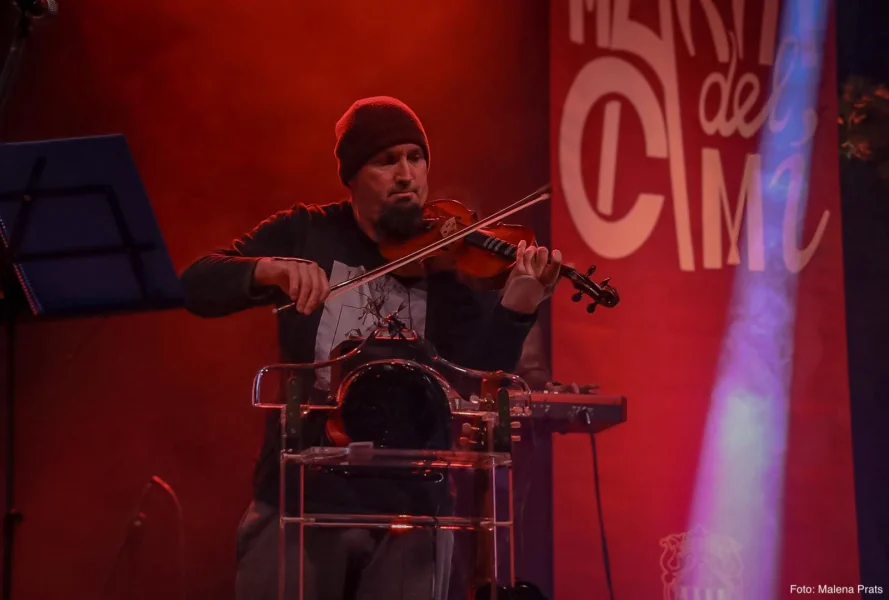Imagen de The fiddler on the tree